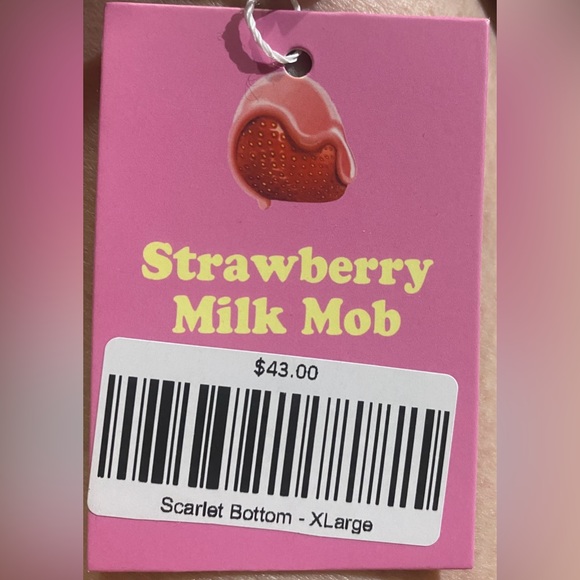 Strawberry Milk Mob Scarlet Bikini Bottom X Large Brand New Never Worn NWT ! 🍓 - Picture 12 of 13